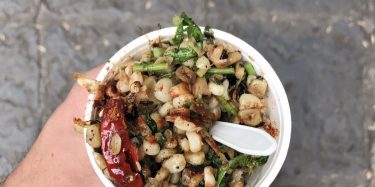 Descubre cuál es el maíz ideal para hacer esquites